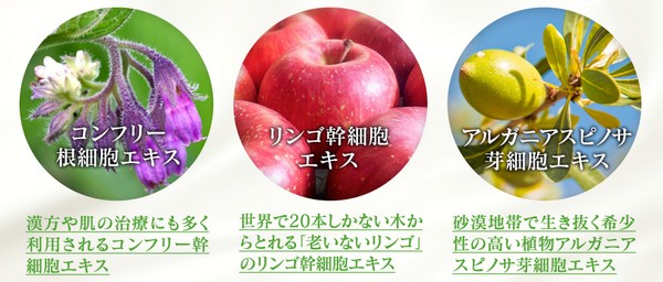 ワンダーエイジレスコンシーラー