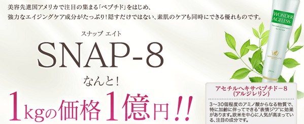ワンダーエイジレスコンシーラー